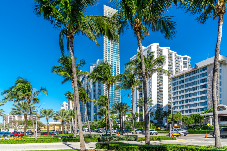 Estate Planning for New Florida Residents – A Primer